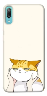 Чехол на Huawei Y6 Pro (2019) Cat bun фото 1 из 1
