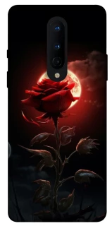 Чехол на OnePlus 8 Красная роза фото 1 из 1
