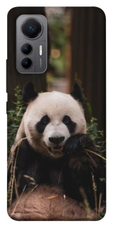 Чехол на Xiaomi 12 Lite Панда фото 1 из 1
