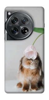 Чохол на OnePlus 12 Bunny фото 1 з 1
