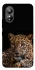 Чохол на ZTE Blade L220 Leopard v4 фото 1 з 1