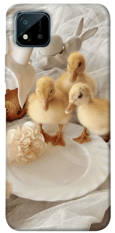 Чохол на Realme C20 Easter Vibes фото 1 з 1