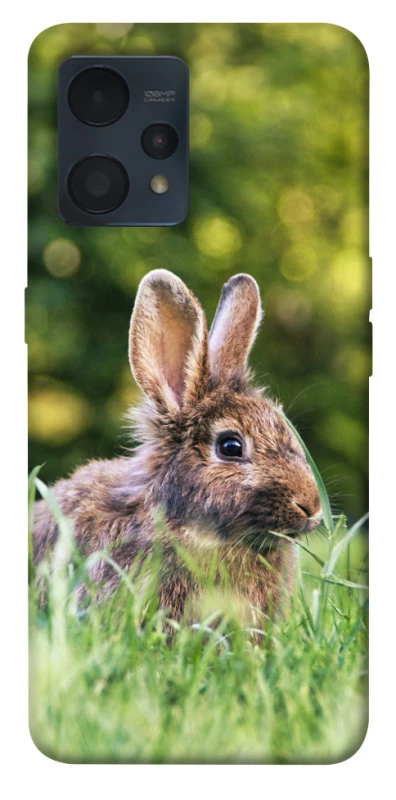 Чохол на Realme 9 4G / 9 Pro+ Кролики фото 1 з 1