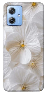 Чохол на Motorola Moto G84 Pastel Dreams фото 1 з 1