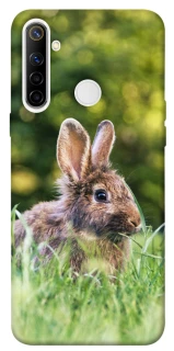 Чохол на Realme 6i Кролики фото 1 з 1