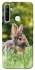 Чехол на Realme 6i Кролики фото 1 из 1