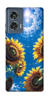 Чохол на Motorola Edge 50 Sunflowers фото 1 з 1