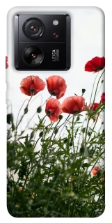 Чохол на Xiaomi 13T Pro Поле маків фото 1 з 1