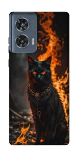 Чохол на Motorola Edge 50 Вогняний кіт фото 1 з 1