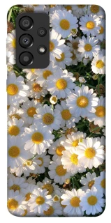 Чохол на Samsung Galaxy A33 5G Поле ромашок фото 1 з 1