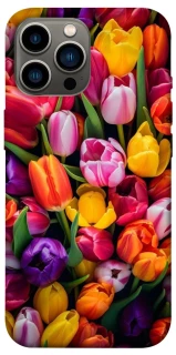 Чехол на Apple iPhone 13 Pro Max (6.7") Flowers v30 фото 1 из 1