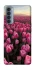 Чехол на Oppo Reno 4 Pro Spring Awakening фото 1 из 1