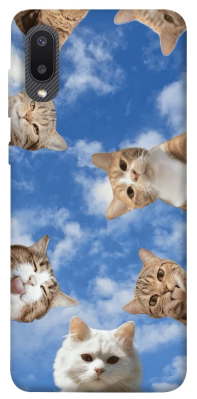 Чехол на Samsung Galaxy A02 Сats фото 1 из 1