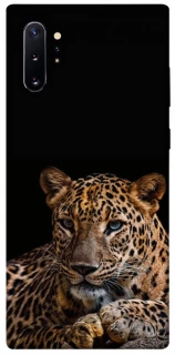 Чехол на Samsung Galaxy Note 10 Plus Leopard v4 фото 1 из 1