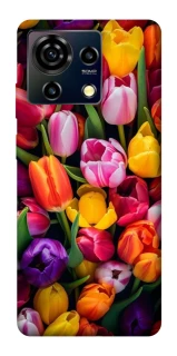 Чохол на ZTE Blade V50 Vita Flowers v30 фото 1 з 1
