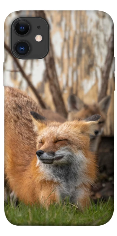 Чехол на Apple iPhone 11 (6.1") Лиса фото 1 из 1