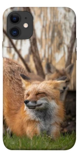 Чехол на Apple iPhone 11 (6.1") Лиса фото 1 из 1