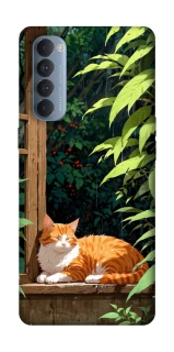 Чохол на Oppo Reno 4 Pro red cat фото 1 з 1