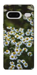 Чехол на Google Pixel 7 Ромашки v13 фото 1 из 1