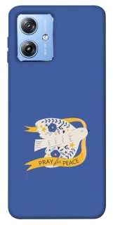 Чохол на Motorola Moto G84 Ластівка фото 1 з 1