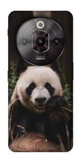 Чехол на ZTE Nubia Focus Pro Панда фото 1 из 1