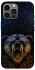 Чехол на Apple iPhone 12 Pro Max (6.7") Bear v2 фото 1 из 1