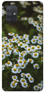 Чехол на Samsung Galaxy A71 Ромашки v13 фото 1 из 1
