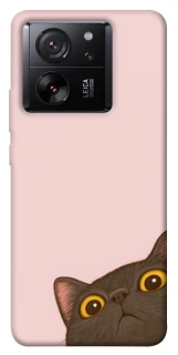 Чехол на Xiaomi 13T Pro Peeping cat фото 1 Чехол на Xiaomi 13T Pro Peeping cat фото 1 из 1