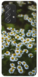 Чехол на Samsung Galaxy A52 4G / A52 5G Ромашки v13 фото 1 из 1