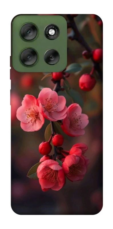 Чохол на Motorola Moto G56 5G Flowers v28 фото 1 з 1
