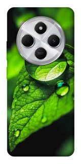 Чехол на Xiaomi Redmi 14C / Poco C75 Flowers v16 фото 1 из 1