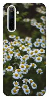 Чехол на Realme 6 Ромашки v13 фото 1 из 1