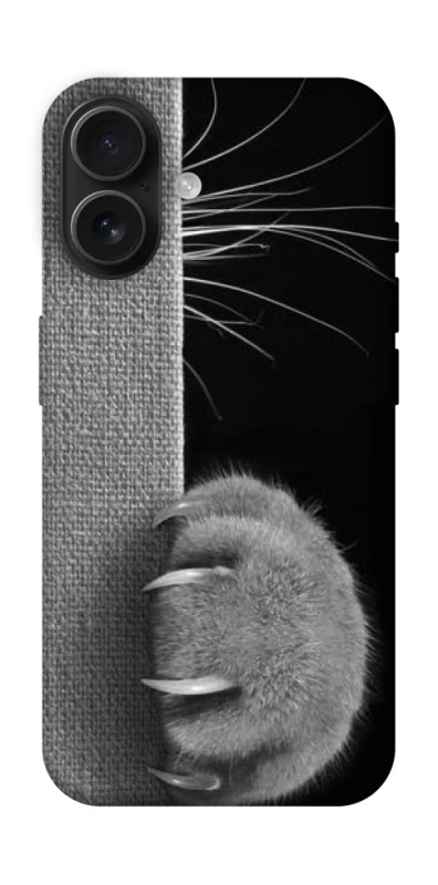 Чехол на Apple iPhone 16 Spy Cat фото 1 из 1