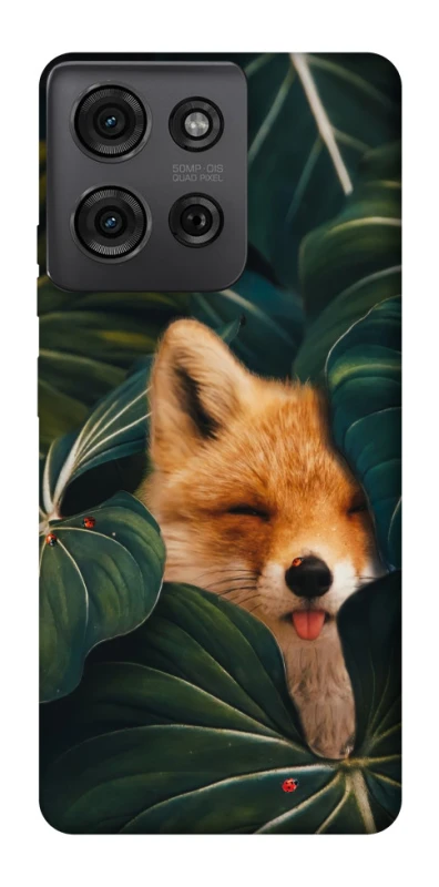 Чохол на Motorola Moto G75 Fox фото 1 з 1