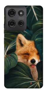 Чехол на Motorola Moto G75 Fox фото 1 из 1