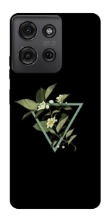 Чохол на Motorola Moto G75 Flowers ver.2 фото 1 Чохол на Motorola Moto G75 Flowers ver.2 фото 1 з 1