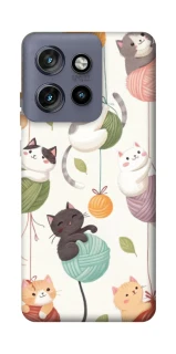 Чехол на Motorola Edge 50 Neo Funny Kittens фото 1 из 1