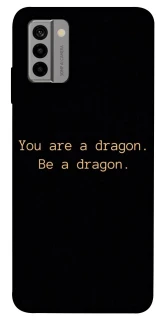 Чохол на Nokia G22 House of the Dragon ver.9 фото 1 з 1