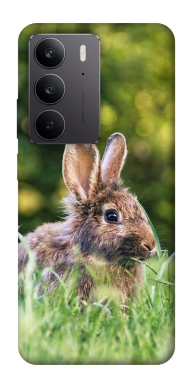 Чехол на Realme C75 Кролики фото 1 из 1