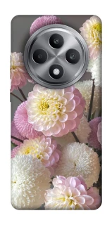 Чохол на Oppo Reno 12 F 4G Flowers v2 фото 1 з 1