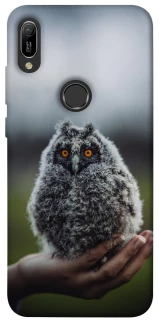 Чохол на Huawei Y6 (2019) Совеня фото 1 з 1