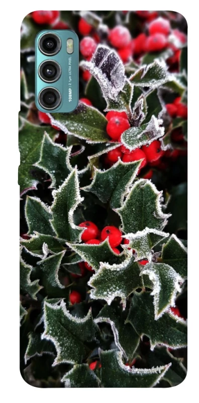 Чохол на Motorola Moto G60 Новорічний v32 фото 1 з 1