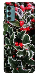 Чехол на Motorola Moto G60 Новогодний v32 фото 1 из 1