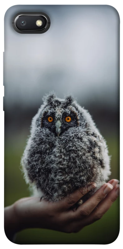 Чехол на Xiaomi Redmi 6A Совёнок фото 1 из 1