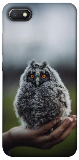 Чохол на Xiaomi Redmi 6A Совеня фото 1 з 1