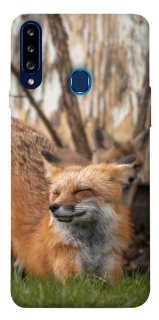 Чехол на Samsung Galaxy A20s Лиса фото 1 из 1