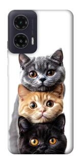Чохол на Motorola Moto G35 Гарні котики фото 1 з 1