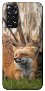 Чехол на Xiaomi Redmi Note 11 (Global) / Note 11S Лиса фото 1 из 1
