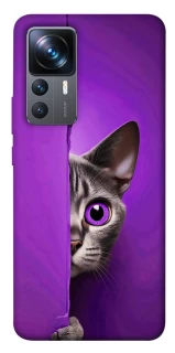 Чохол на Xiaomi 12T / 12T Pro Кіт-підглядач фото 1 з 1