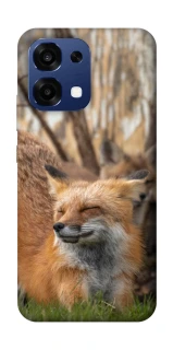 Чехол на Oppo A6 Pro 4G/5G Лиса фото 1 из 2